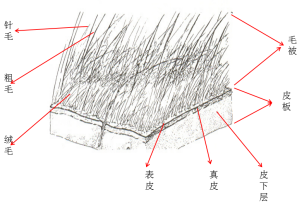 AG一飞冲天(中国区域)官方网站