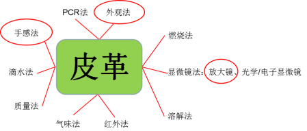AG一飞冲天(中国区域)官方网站